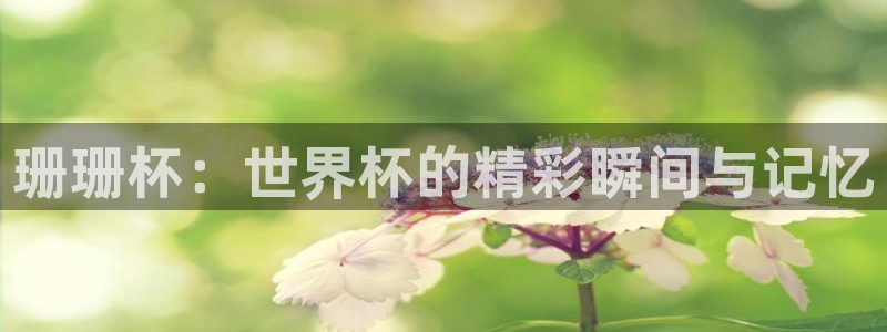 2026世界杯中国队：珊珊杯：世界杯的精彩瞬间与记忆