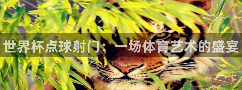 世界杯预选赛：世界杯点球射门：一场体育艺术的盛宴