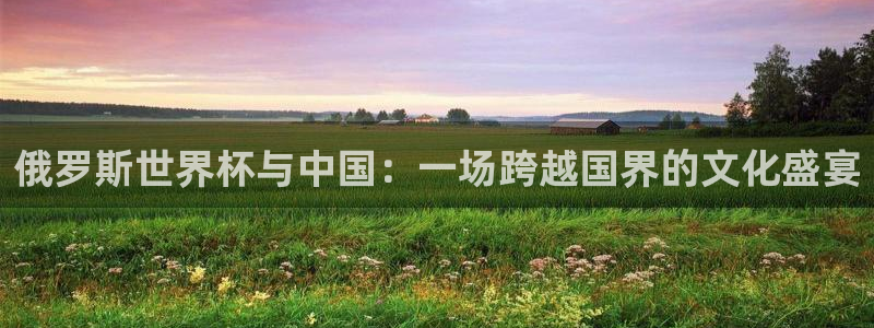 足球世界杯2026：俄罗斯世界杯与中国：一场跨越国界的文化盛宴