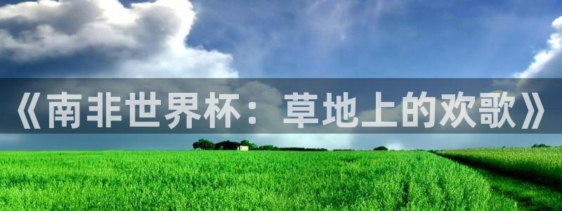 2026年世界杯赛程表时间：《南非世界杯：草地上的欢歌》