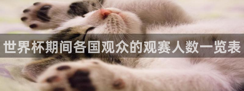世界杯欧洲预选赛赛程：世界杯期间各国观众的观赛人数一览表