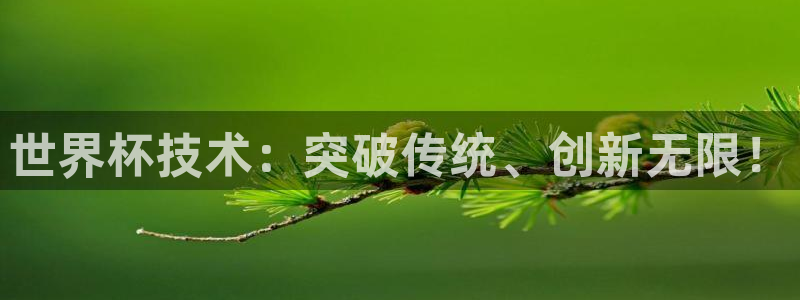 世预赛直播：世界杯技术：突破传统、创新无限！