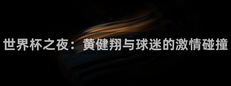 世界杯赛程时间表：世界杯之夜：黄健翔与球迷的激情碰撞