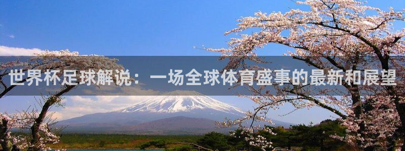 世界杯2026预选赛：世界杯足球解说：一场全球体育盛事的最新和展望