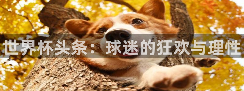 世预赛欧洲赛程表：世界杯头条：球迷的狂欢与理性