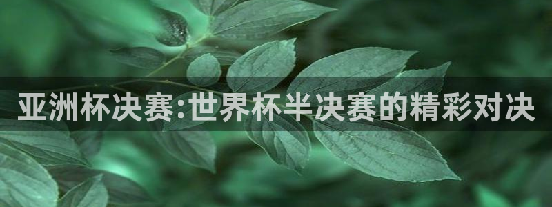 2026世界杯32强对阵图表：亚洲杯决赛:世界杯半决赛的精彩对决