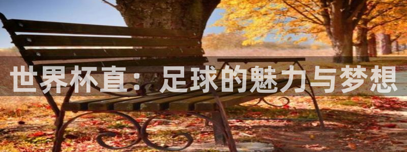 世界杯亚洲预选赛18强赛程：世界杯直：足球的魅力与梦想
